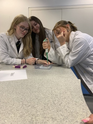 North Bromsgrove High School & Sixth Form - Think Tank Scientists ...